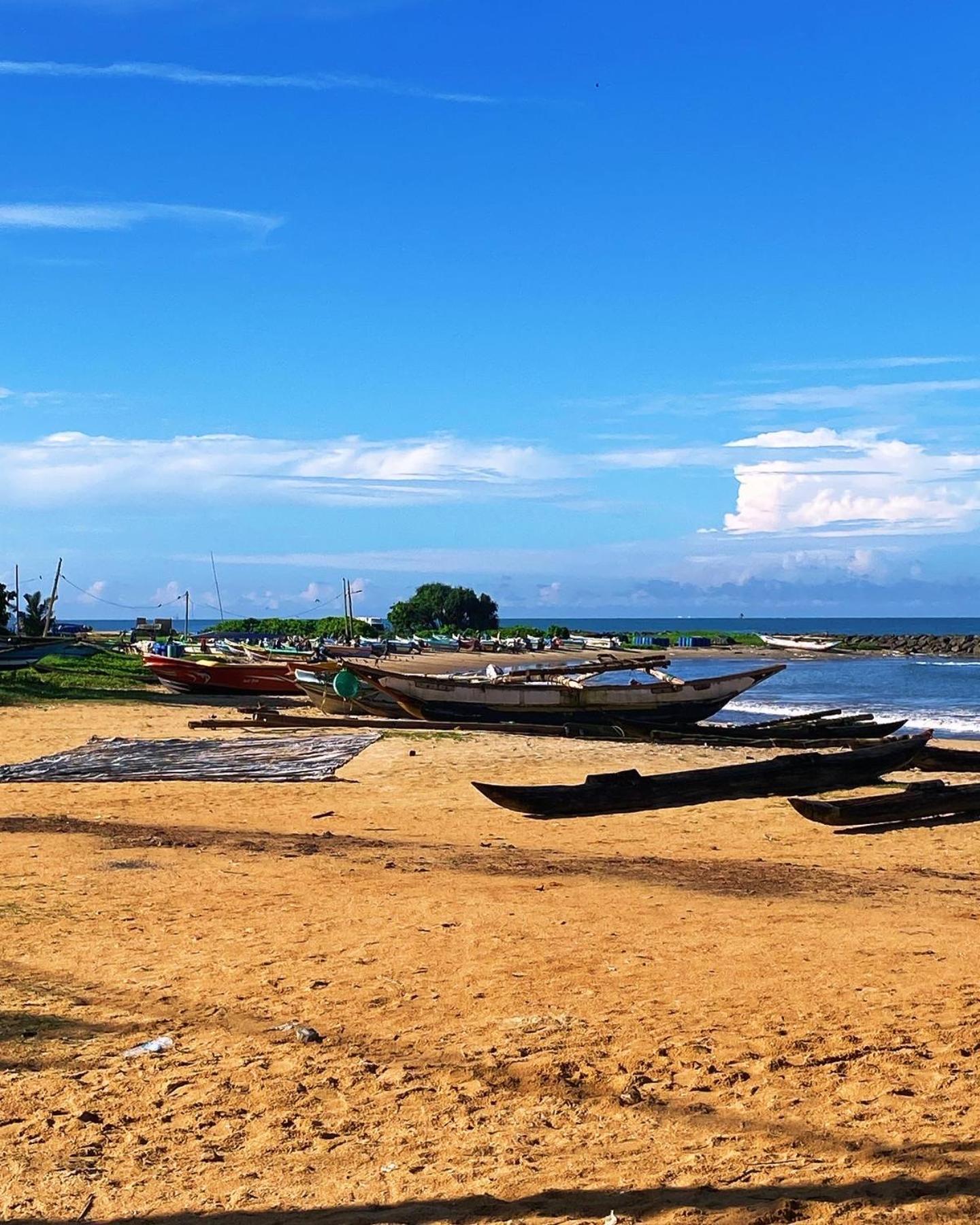 The Serene House Negombo Exterior foto